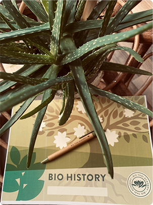 Centro estetico Rovereto 